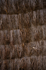 thatch texture - Cap d'Agde, France