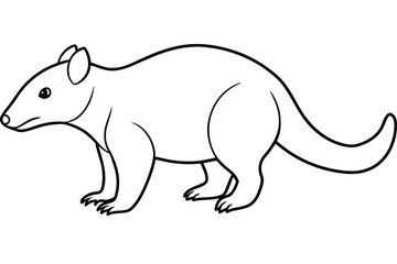 Silky anteater line art vector illustration