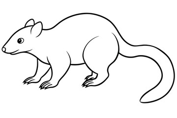 Silky anteater line art vector illustration