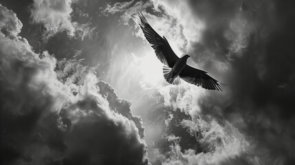Pigeon flying in the sky with clouds, black and white, air element