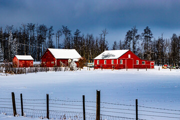 Winter drive through a winter wonderland, Mountain View County, Alberta, Canada