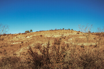 Fototapeta premium Macro photography - Landscapes - Europe, Romania, Constanta region, 2023 year