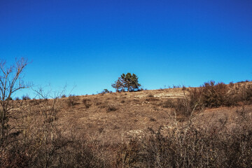 Obraz premium Macro photography - Landscapes - Europe, Romania, Constanta region, 2023 year