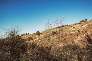 Macro photography  -  Landscapes  - Europe, Romania, Constanta region, 2023 year