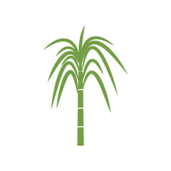 Fototapeta na wymiar Sugarcane logo vector template symbol design