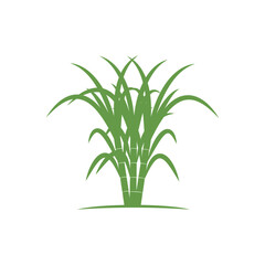 Fototapeta na wymiar Sugarcane logo vector template symbol design
