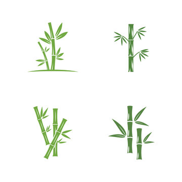 Bamboo logo with green leaf vector icon template