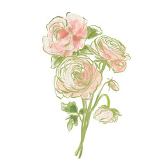 Oil painting abstract bouquet of rose and ranunculus. Hand painted floral composition isolated on white background. Holiday Illustration for design, print, fabric or background. - 789332878