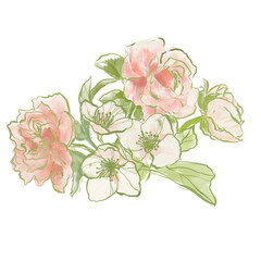 Oil painting abstract bouquet of peony and jasmine. Hand painted floral composition isolated on white background. Holiday Illustration for design, print, fabric or background.