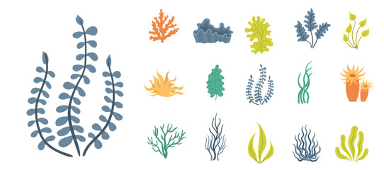 Marine plants and aquatic algae set isolated on white background. Collection of seaweeds, underwater sea plants, shells. Ocean corals silhouettes. Vector illustration