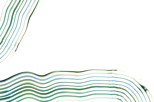 Comb painting textured border png in green handmade abstract wavy lined pattern experimental art