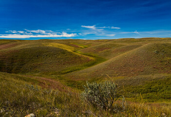 Buttes in Grasslands National Park