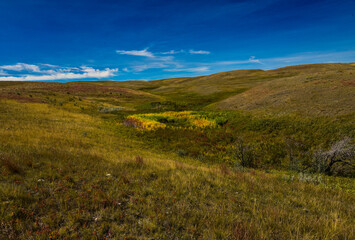 Landscape in Grasslands National Park