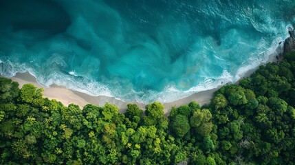 Vibrant aerial view of lush tropical forest bordering turquoise ocean with white sandy beach,...