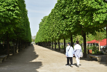 Balade au jardin des Tuileries à Paris. France