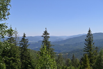 The breathtaking beauty of the mountains, forest, and fresh air in the picturesque Carpathians.






