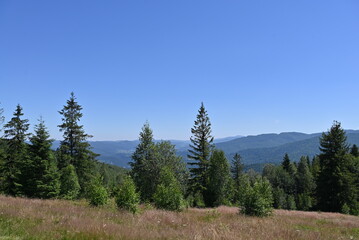 The breathtaking beauty of the mountains, forest, and fresh air in the picturesque Carpathians.






