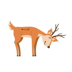 Set of brown deer running and jumping. Beautiful stylized cartoon deers isolated on a white background. Cartoon character animal design. Vector illustration in flat style.