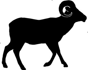 Silhouette illustration of a goat for eid al adha, farm day and animal day of vector