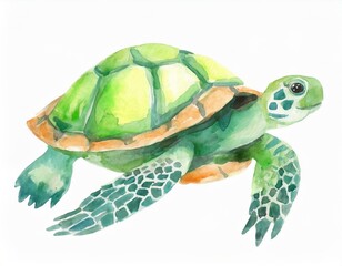 Zielony żółw morski ilustracja - obrazy, fototapety, plakaty