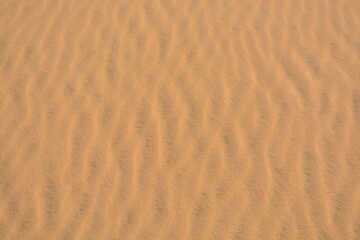 Sand surface in the desert with interwoven sand ripples