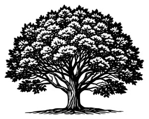 Tree Vector Illustration Drawing
