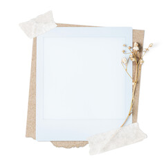Instant photo png frame, dried flower on transparent background