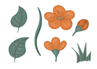 Floral set of seven elements for creativity. Orange flowers and green leaves. Without background.