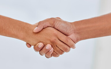 Handshake, partnership and agreement to deal for legal contract, loyalty and respect. Closeup of...