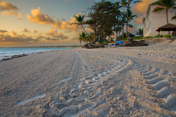 View of a pretty beach in Punta Cana in the Dominican Republic