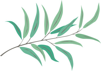 olive branch with leaves, vector drawing on a white background