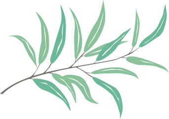 olive branch with leaves, vector drawing on a white background