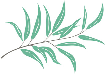 Fototapeta na wymiar olive branch with leaves, vector drawing on a white background