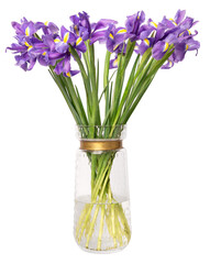 Iris in vase png, isolated object, collage element design