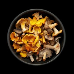 Wild Mushroom Medley, Fresh Variety in Bowl on dark Background