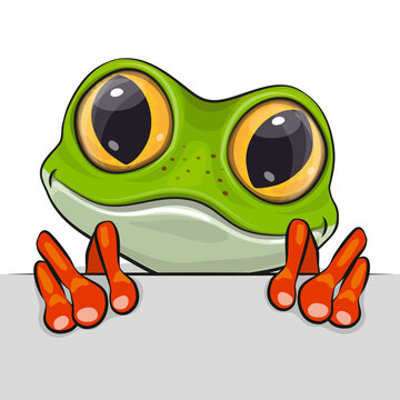 green frog peeking over edge clip art preview