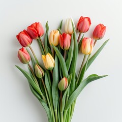 A bouquet of red, orange, and white tulips on a white background.