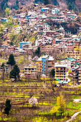 Spring in the Himalaya Village, India