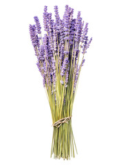 PNG purple lavender flower sticker