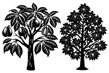 Obraz premium pawpaw-tree-cork-oak vector illusrtation