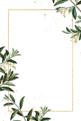 Olive branches frame png hand drawn border design space