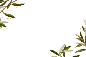 Olive branches frame png hand drawn border design space