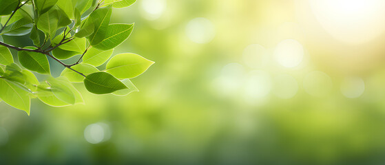 Close-up of lush green leaves with sunlight filtering through, depicting growth and vitality, Concept of nature and environment. Banner design - obrazy, fototapety, plakaty