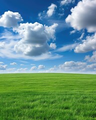 Obraz premium Serene Green Field Under Blue Sky