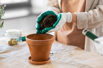 people, gardening and housework concept - close up of woman in gloves pouring soil to flower pot at...