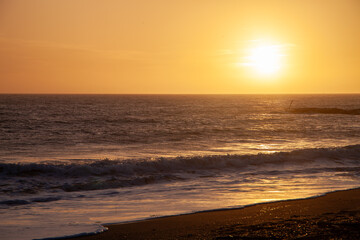 sunset tomboli natural reserve of cecina maritime pine on the sea of marina di cecina