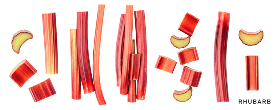 Raw rhubarb stem and slice isolated. PNG with transparent background. Flat lay. Without shadow.