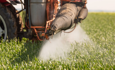 Tractor spraying pesticides wheat field. - 789417423