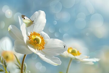 Shallow focus detail of a white anemone flower with yellow stamens and a butterfly in a nature macro against a blue sky with beautiful bokeh. generative ai