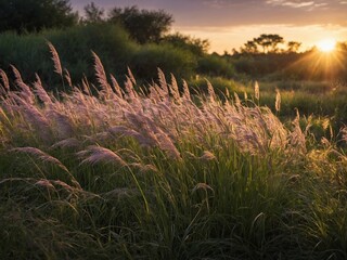 Sun sets over field of tall grass, casting warm glow over landscape. Grass sways gently in breeze, its feathery plumes catching light, creating soft, ethereal effect. - Powered by Adobe